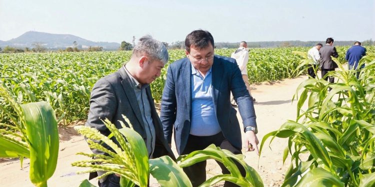 СЫР ӨҢІРІ ҚЫТАЙМЕН АГРОӨНЕРКӘСІП САЛАСЫНДАҒЫ ЫНТЫМАҚТАСТЫҚТЫ КЕҢЕЙТУДЕ