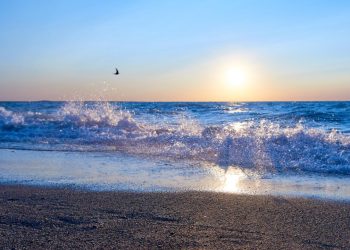 Жетісуда туризмді дамыту: биылғы жазғы маусымға дейін Балқаш көлінің жағалауында екі коммуналдық жағажай ашылады