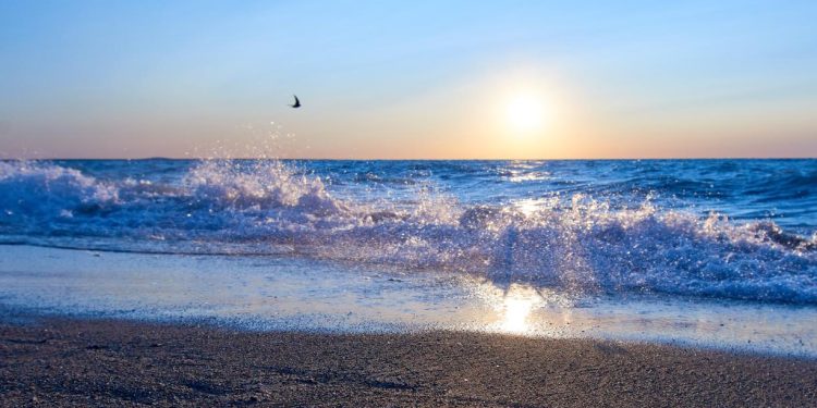 Жетісуда туризмді дамыту: биылғы жазғы маусымға дейін Балқаш көлінің жағалауында екі коммуналдық жағажай ашылады