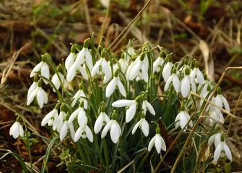 1 наурыздан бастап қазақстандықтарды қандай өзгеріс күтіп тұр