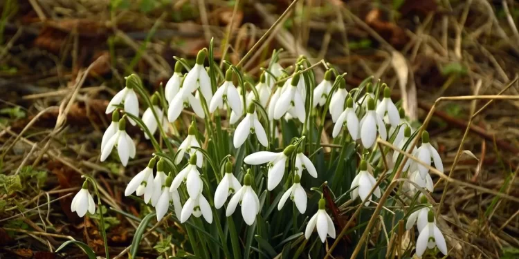 1 наурыздан бастап қазақстандықтарды қандай өзгеріс күтіп тұр