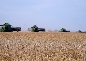 АӨК дамуының жаңа деңгейі: Президенттің тапсырмасы бойынша прогрессивті агроэкономикаға көшу басталды