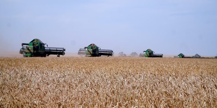 АӨК дамуының жаңа деңгейі: Президенттің тапсырмасы бойынша прогрессивті агроэкономикаға көшу басталды