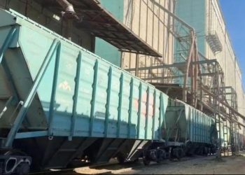 Жаңа өнімнен 5,8 млн тонна астық экспортталды