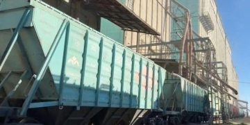 Жаңа өнімнен 5,8 млн тонна астық экспортталды