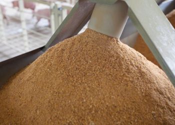 Қытайға жемдік ұн тиелген контейнерлік пойыз жөнелтілді