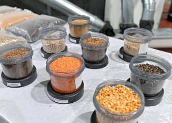 Абай облысында бұршақ және майлы дақылдарды өңдейтін зауыт іске қосылды