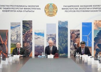 Новая конституция как основа экологической безопасности страны