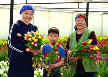 Отбасылық істің берік болуы – бәріміздің бір кісідей жұмылғанымыздың арқасы