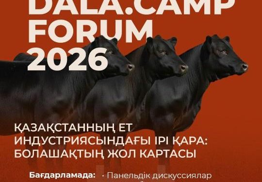 Қазақстанда етті мал шаруашылығын дамытуға арналған форум өтеді