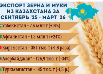 Экспорт зерна и муки из Казахстана в зерновом эквиваленте достиг 8,9 млн тонн