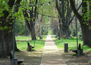 Алматыда 2030 жылға дейін дендрологиялық жоспар әзірленеді